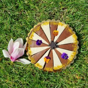 pascade de post vegan lifespot iasi